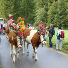 normal_29092012herbsde01003aktivnews__11_.JPG