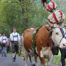 normal_29092012herbsde01003aktivnews__21_.JPG