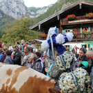 normal_29092012herbsde01003aktivnews__32_.JPG