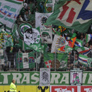 file66u6m19rctj17dg25omh.jpg