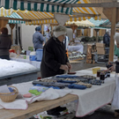 _DSC06380033.JPG