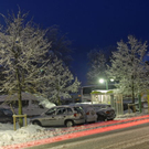 _DSC07310001.JPG