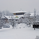 _DSC08240009_1.JPG