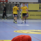 291716749.JPG