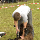 bernd_fest_jpg-1349000829