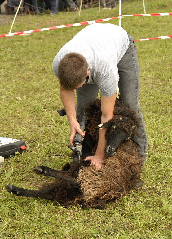 bernd_fest_jpg-1349000829