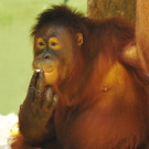 DAB1722-20110916.jpg
