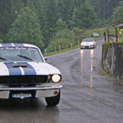 DSC05253a.jpg