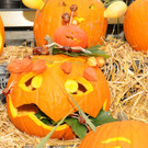 K__rbisfest 30-09-2012 27_jpg-1349025746