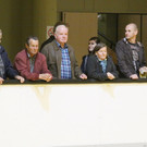 Rollhockey Dornb_ - Wolfurt  2012 033_jpg-1349030138