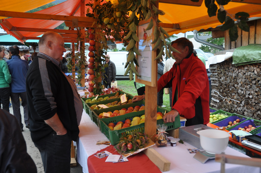 DSC_0112 - Kopie_JPG-1349035425