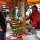 DSC_0114 - Kopie_JPG-1349035460
