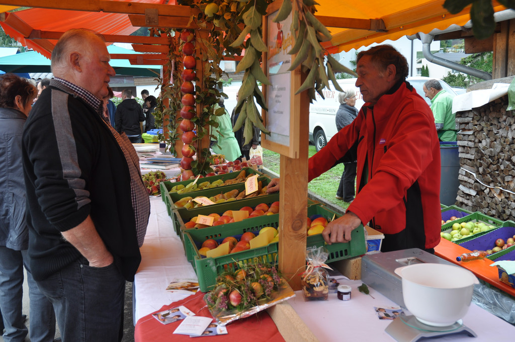 DSC_0114 - Kopie_JPG-1349035460