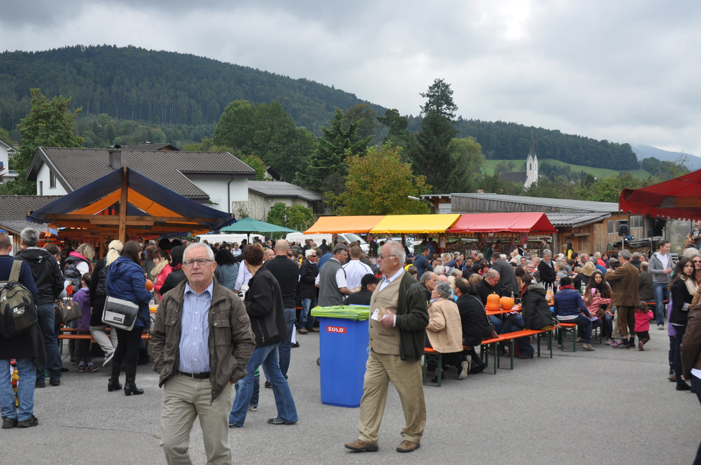 DSC_0103 - Kopie_JPG-1349035892