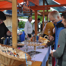 DSC_0133 - Kopie_JPG-1349036040