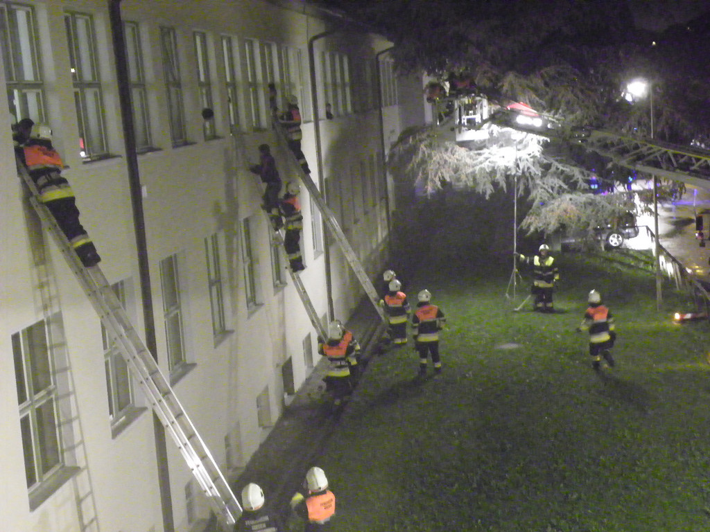 116_2694_JPG-1349045234