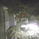 116_2695_JPG-1349045240