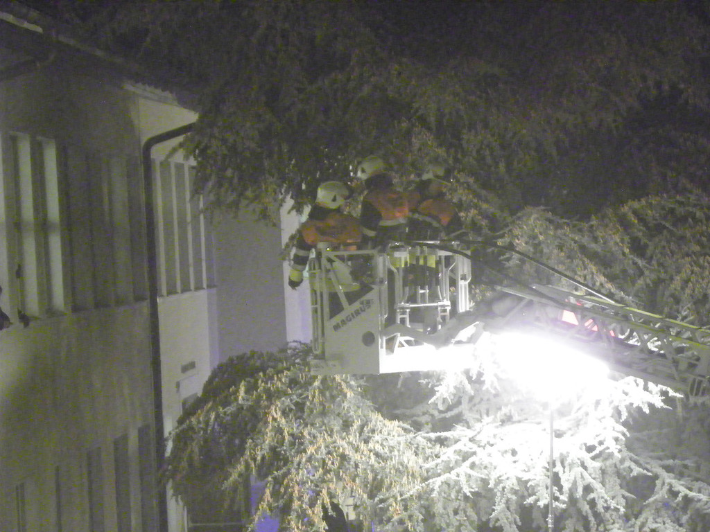 116_2695_JPG-1349045240