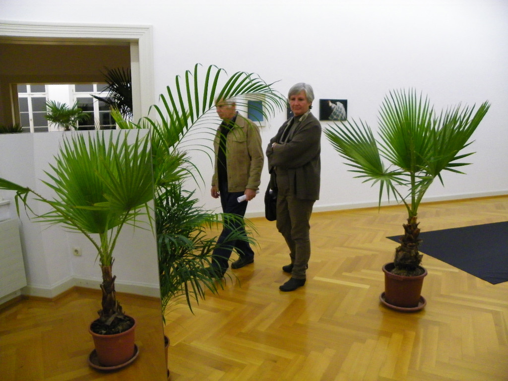 116_3014_JPG-1349047370