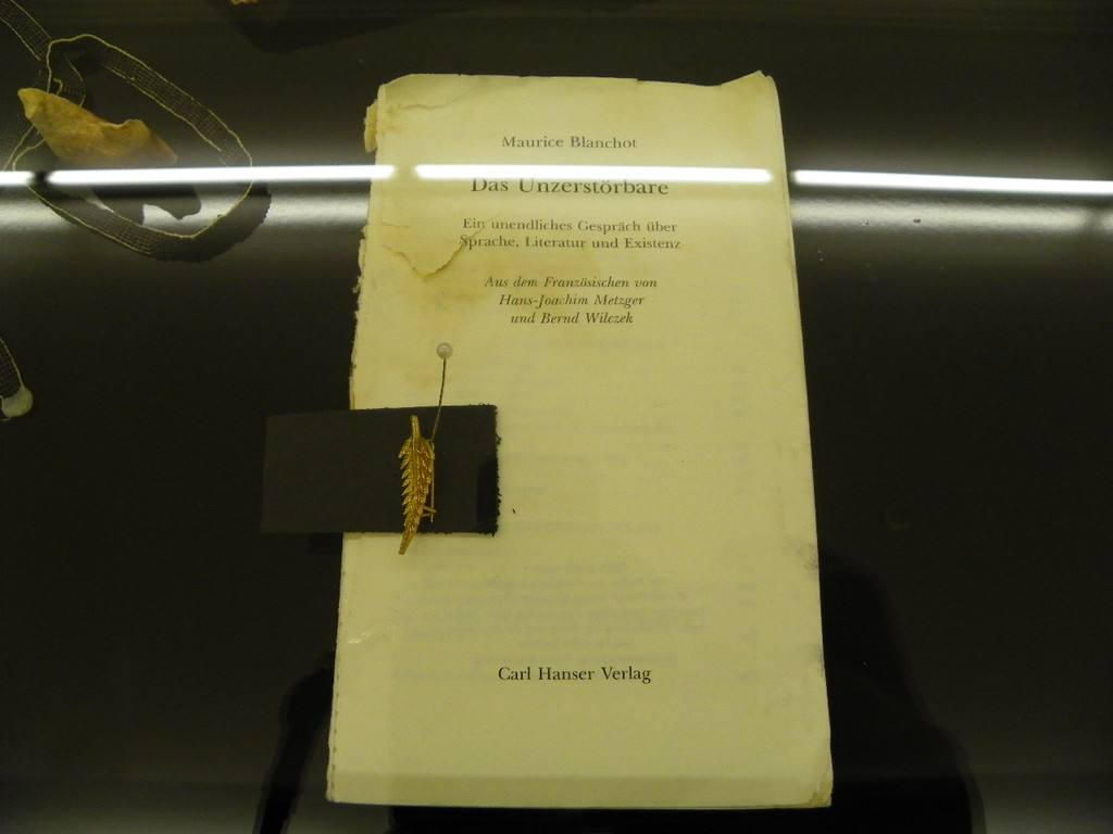 116_3002_JPG-1349047358