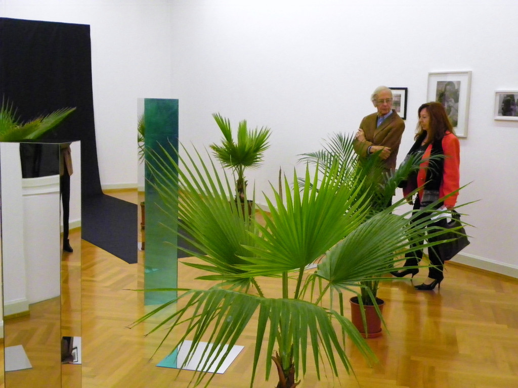 116_3011_JPG-1349047364