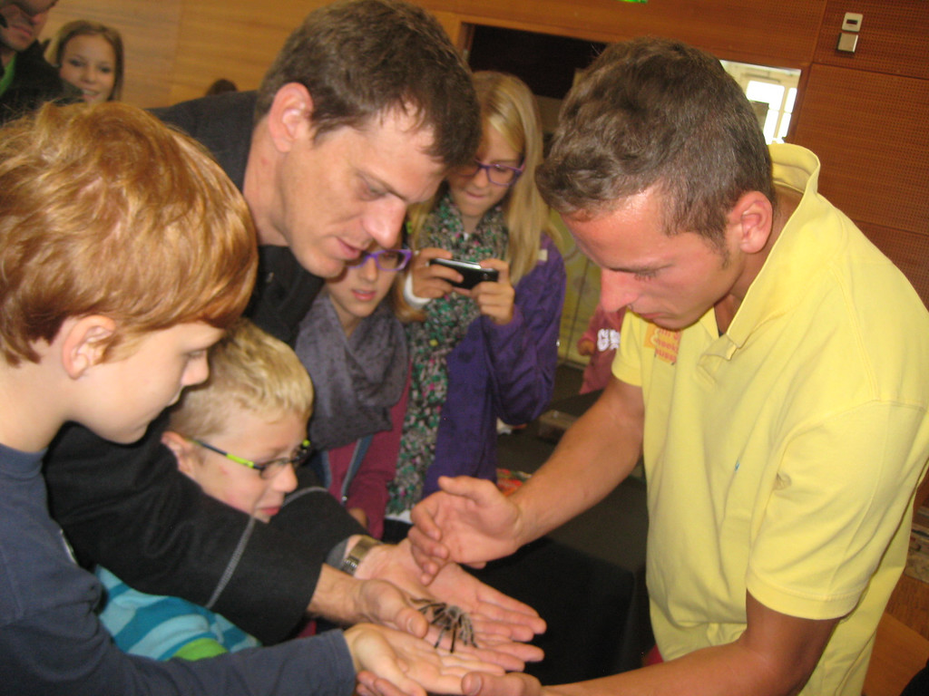 grilla_jpg 184_jpg-1349074364