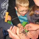 grilla_jpg 185_jpg-1349074366
