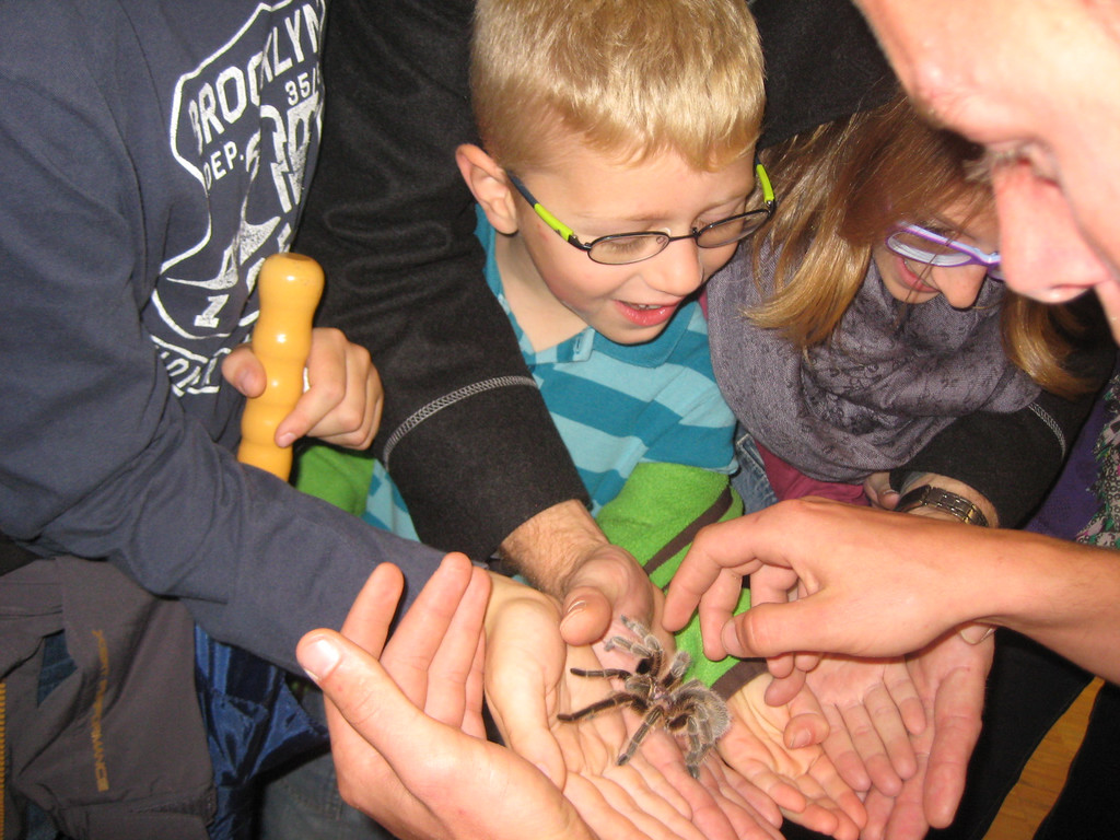 grilla_jpg 185_jpg-1349074366