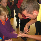 grilla_jpg 186_jpg-1349074367