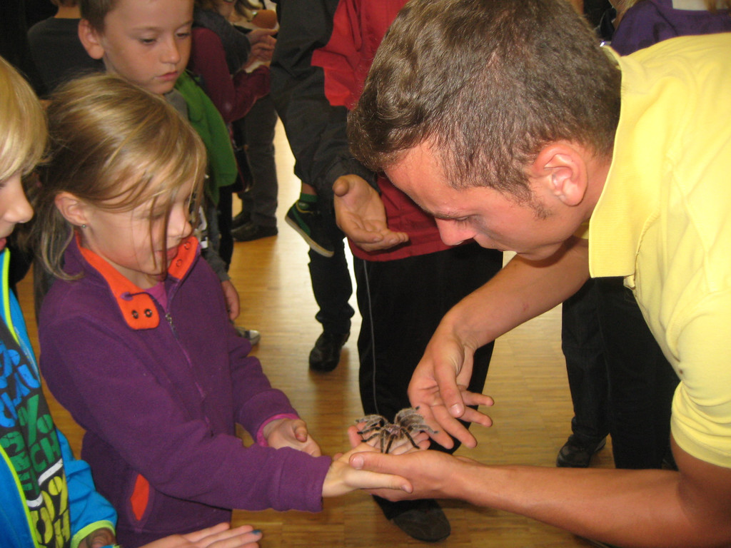 grilla_jpg 186_jpg-1349074367