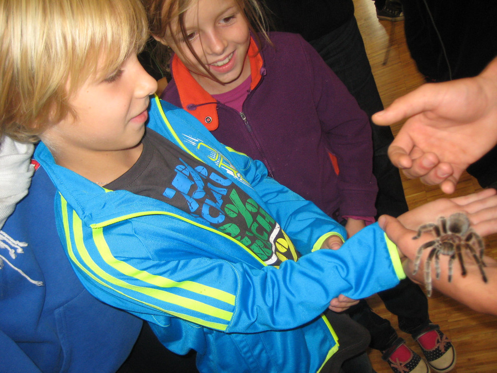 grilla_jpg 187_jpg-1349074369