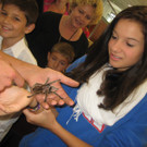 grilla_jpg 192_jpg-1349074378