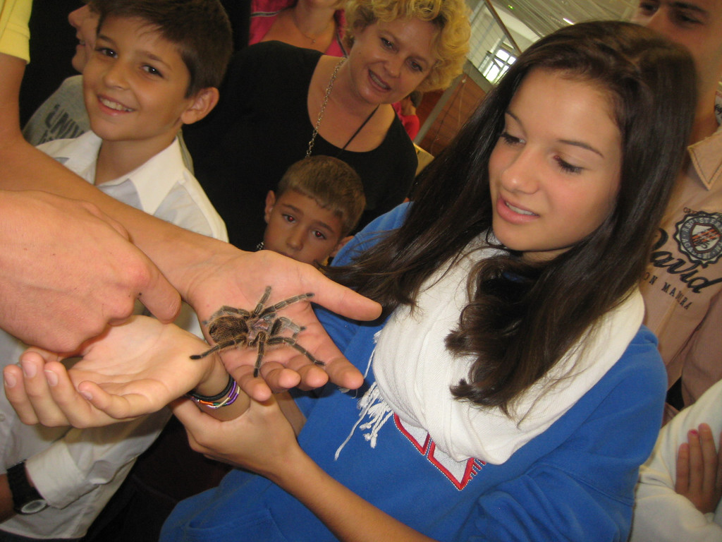 grilla_jpg 192_jpg-1349074378