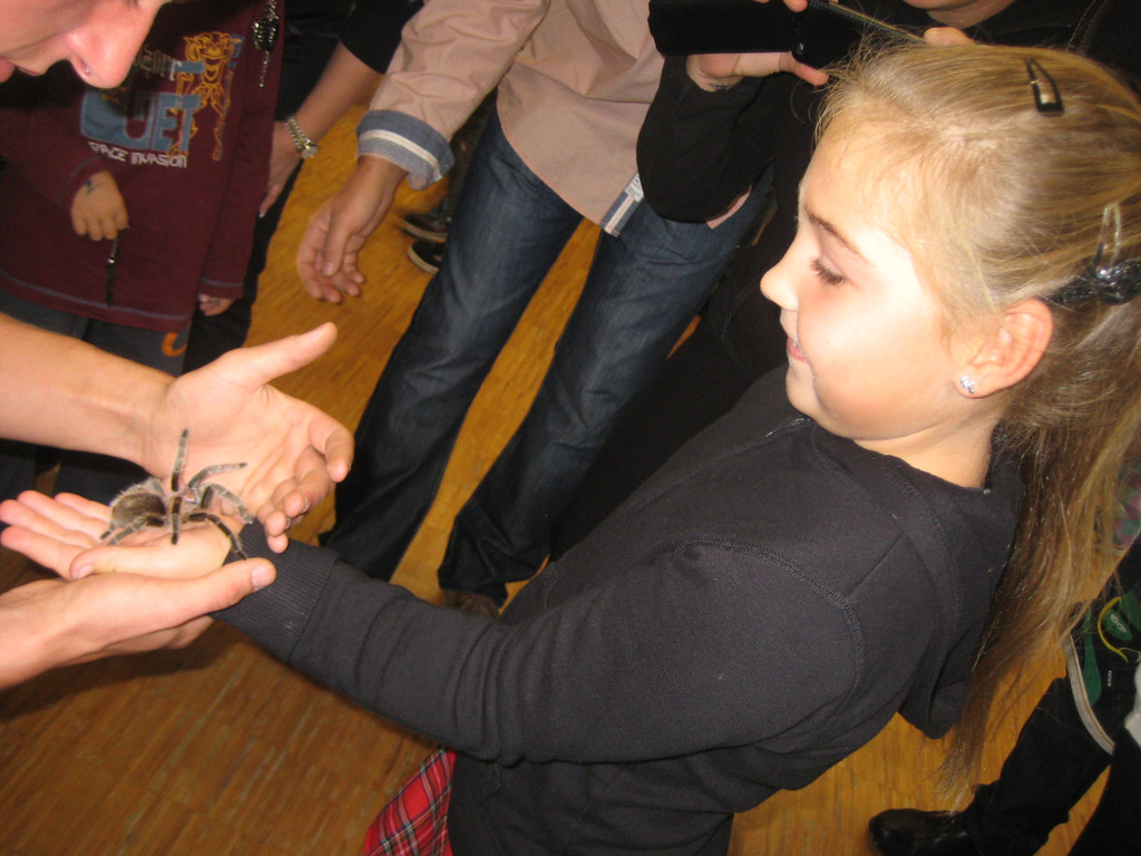 grilla_jpg 194_jpg-1349074381