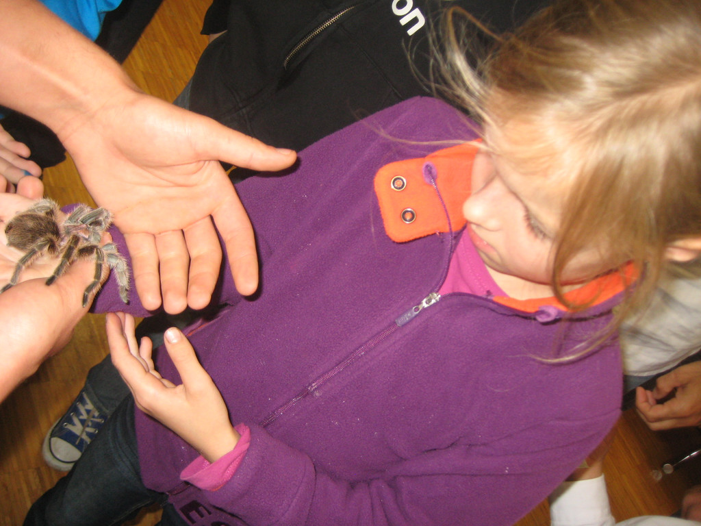 grilla_jpg 195_jpg-1349074383