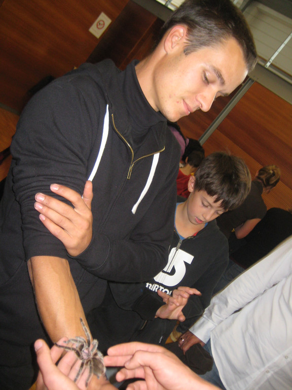 grilla_jpg 198_jpg-1349074388
