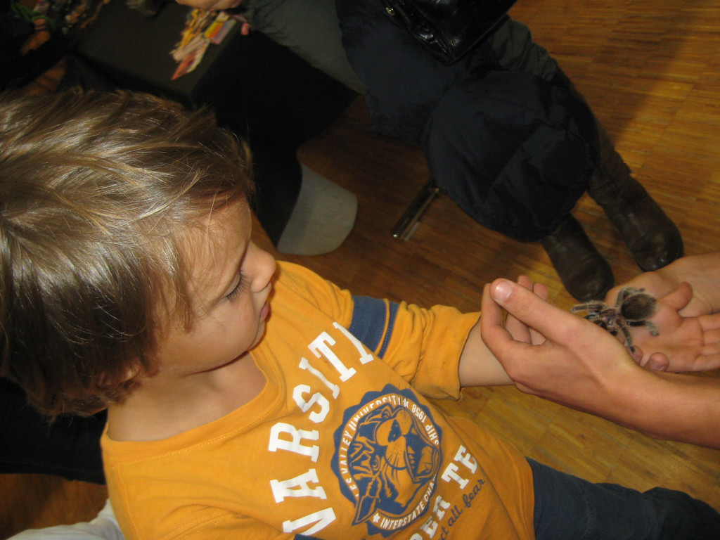 grilla_jpg 199_jpg-1349074390