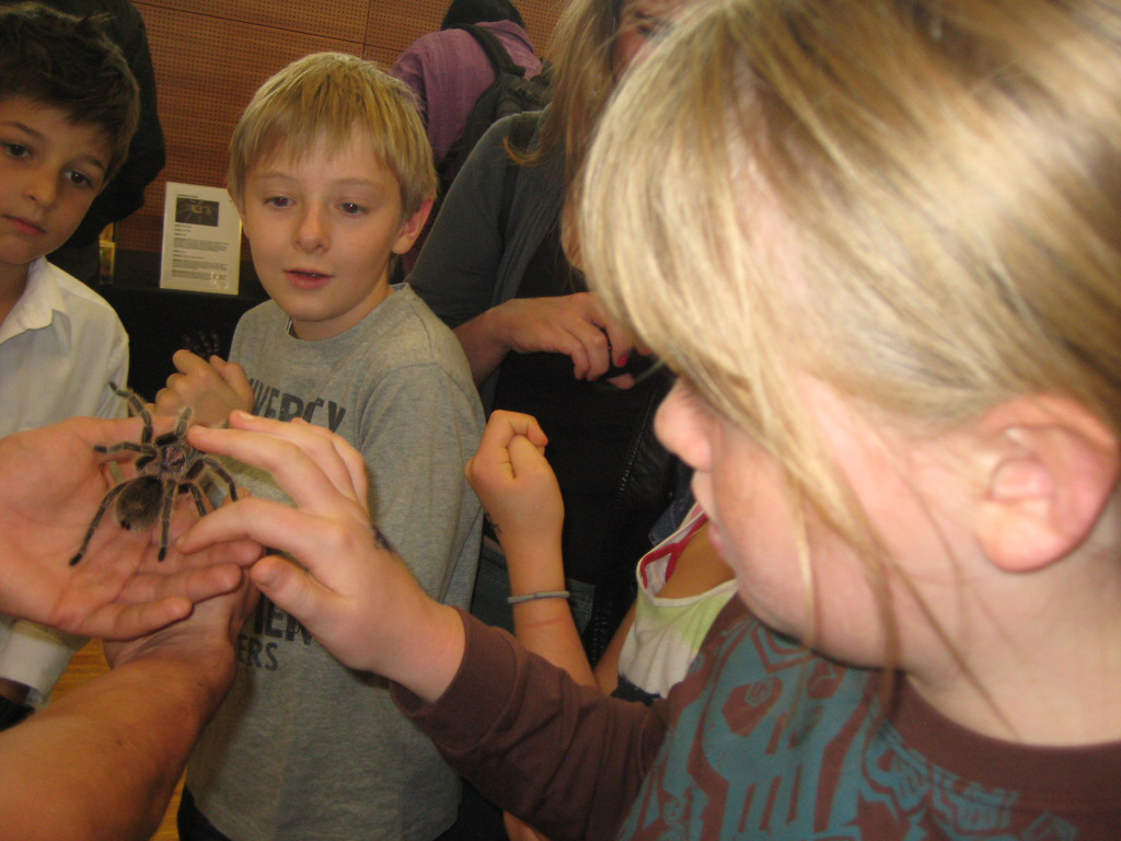 grilla_jpg 205_jpg-1349074401