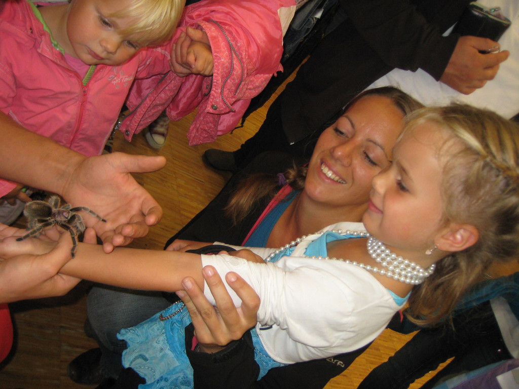 grilla_jpg 209_jpg-1349074408