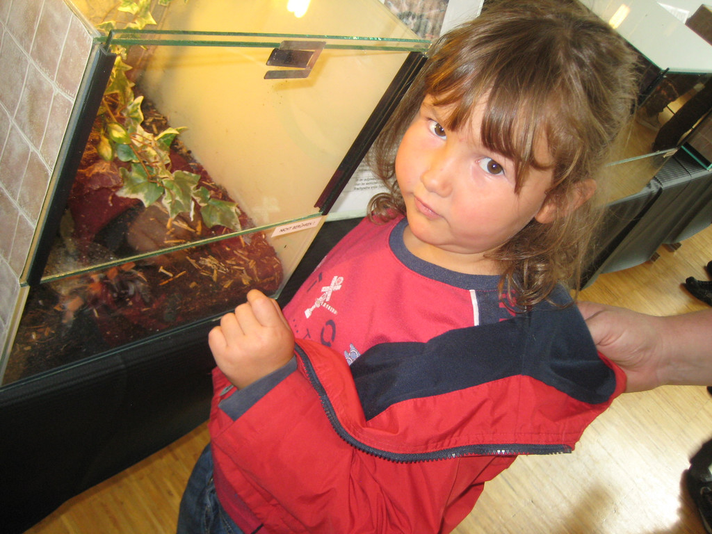 grilla_jpg 212_jpg-1349074412
