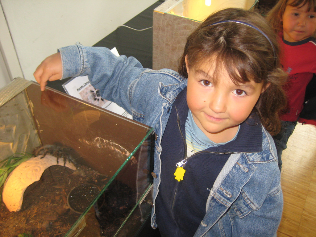grilla_jpg 213_jpg-1349074414