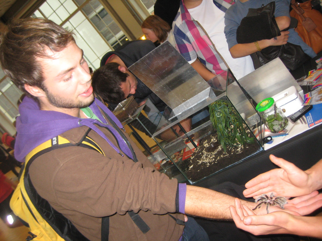grilla_jpg 232_jpg-1349074422