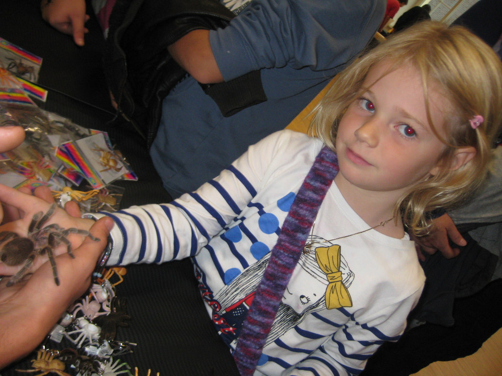 grilla_jpg 233_jpg-1349074424