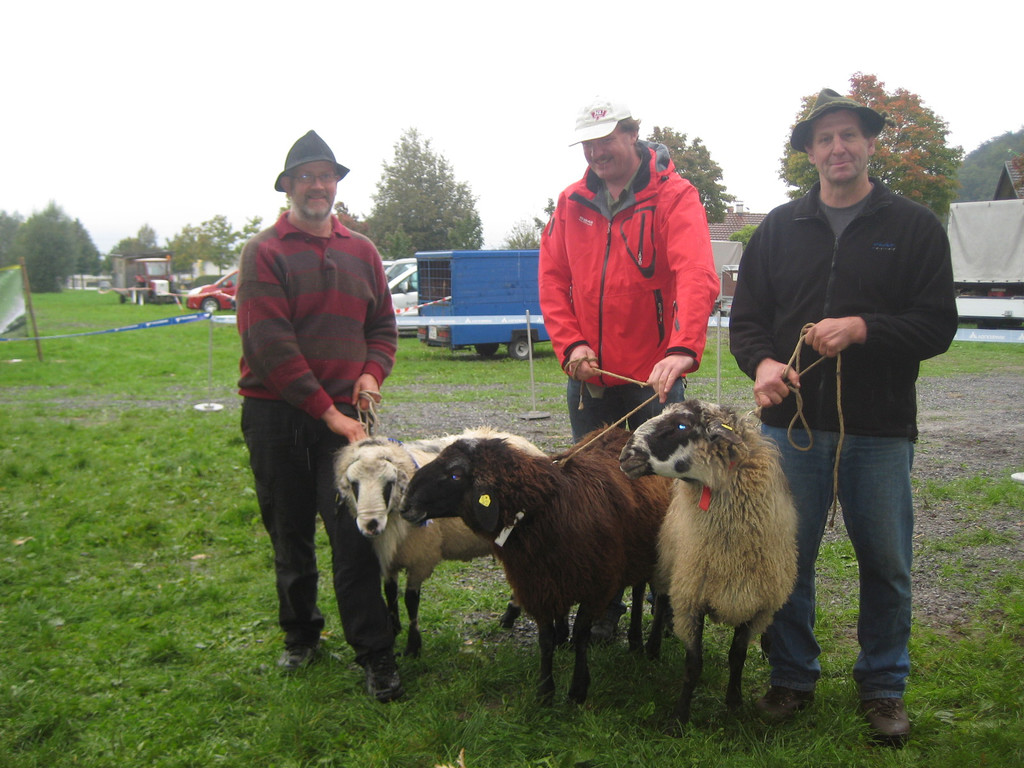 grilla_jpg 126_jpg-1349078323