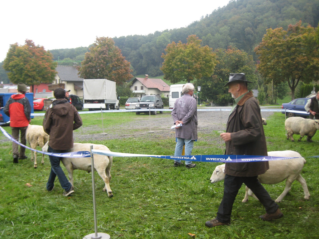 grilla_jpg 138_jpg-1349078345
