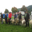 grilla_jpg 140_jpg-1349078349
