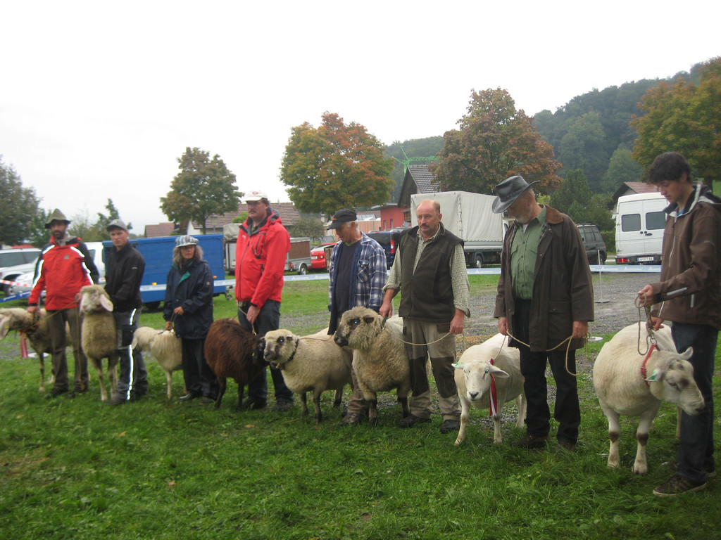 grilla_jpg 140_jpg-1349078349