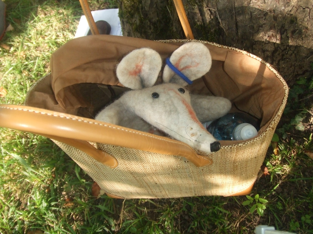 DSCF2886.jpg