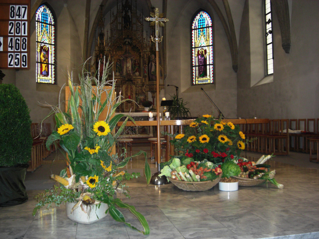 CIMG0003.JPG