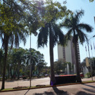 P1060634.JPG